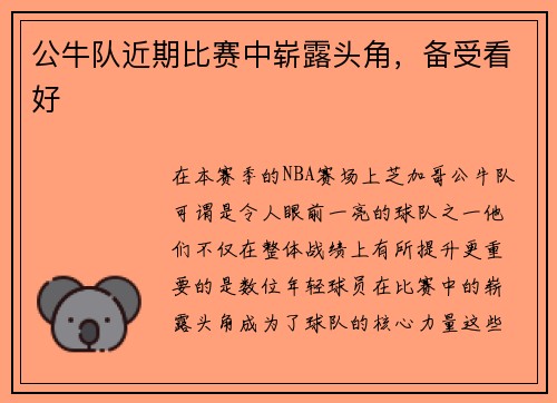 公牛队近期比赛中崭露头角，备受看好