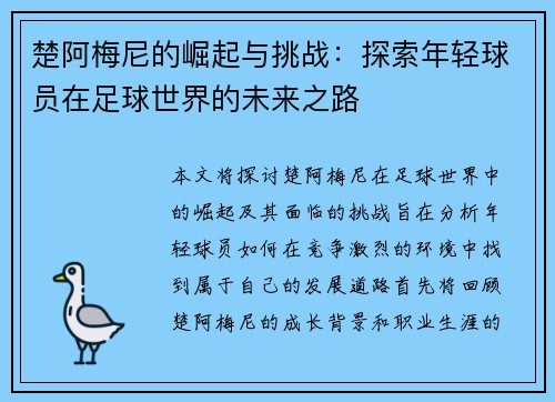楚阿梅尼的崛起与挑战：探索年轻球员在足球世界的未来之路