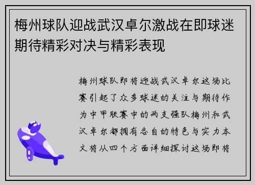 梅州球队迎战武汉卓尔激战在即球迷期待精彩对决与精彩表现